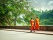 moines rue luang prabang